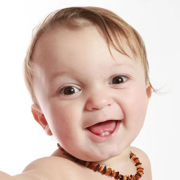 Pehlivan Family Studio photograph 2